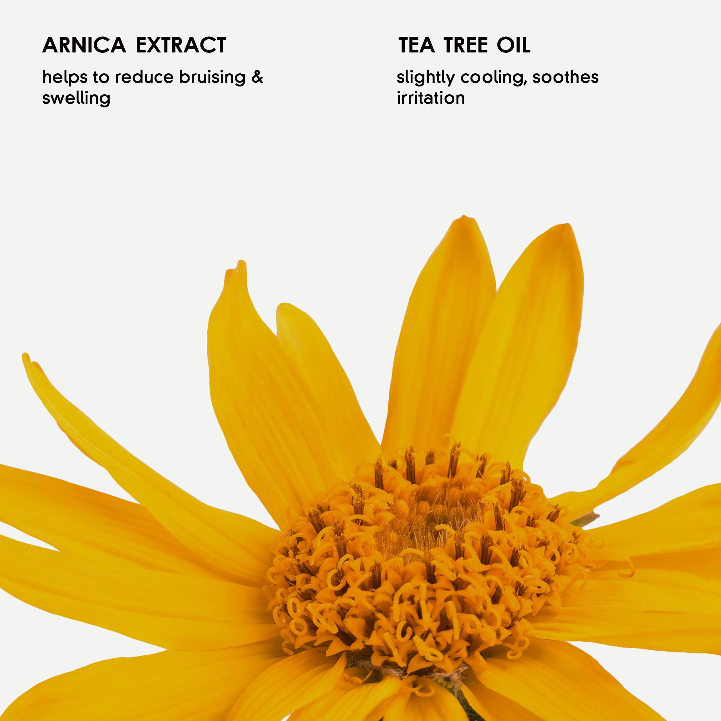 Mum Bub Hub CIC - Wholesale Nursing Salve - Maternity - Perineal Balm1