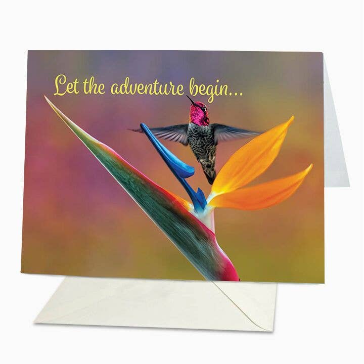 Que Comienza La Aventura para venta al por mayor de St Thomas Greetings