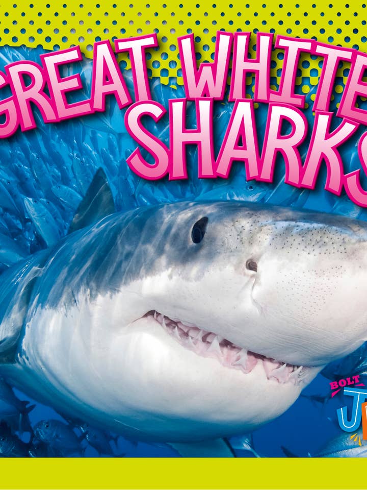 Värld av hajar: Stora vita hajar för wholesale av Black Rabbit Books