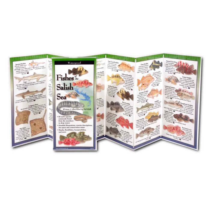 Earth Sky + Water - Wholesale Nature & Outdoors Book - Fishes of the Salish Sea1