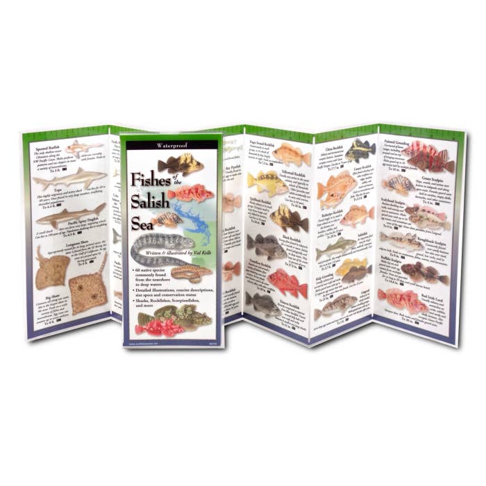 Earth Sky + Water - Wholesale Nature & Outdoors - Fishes of the Salish Sea1