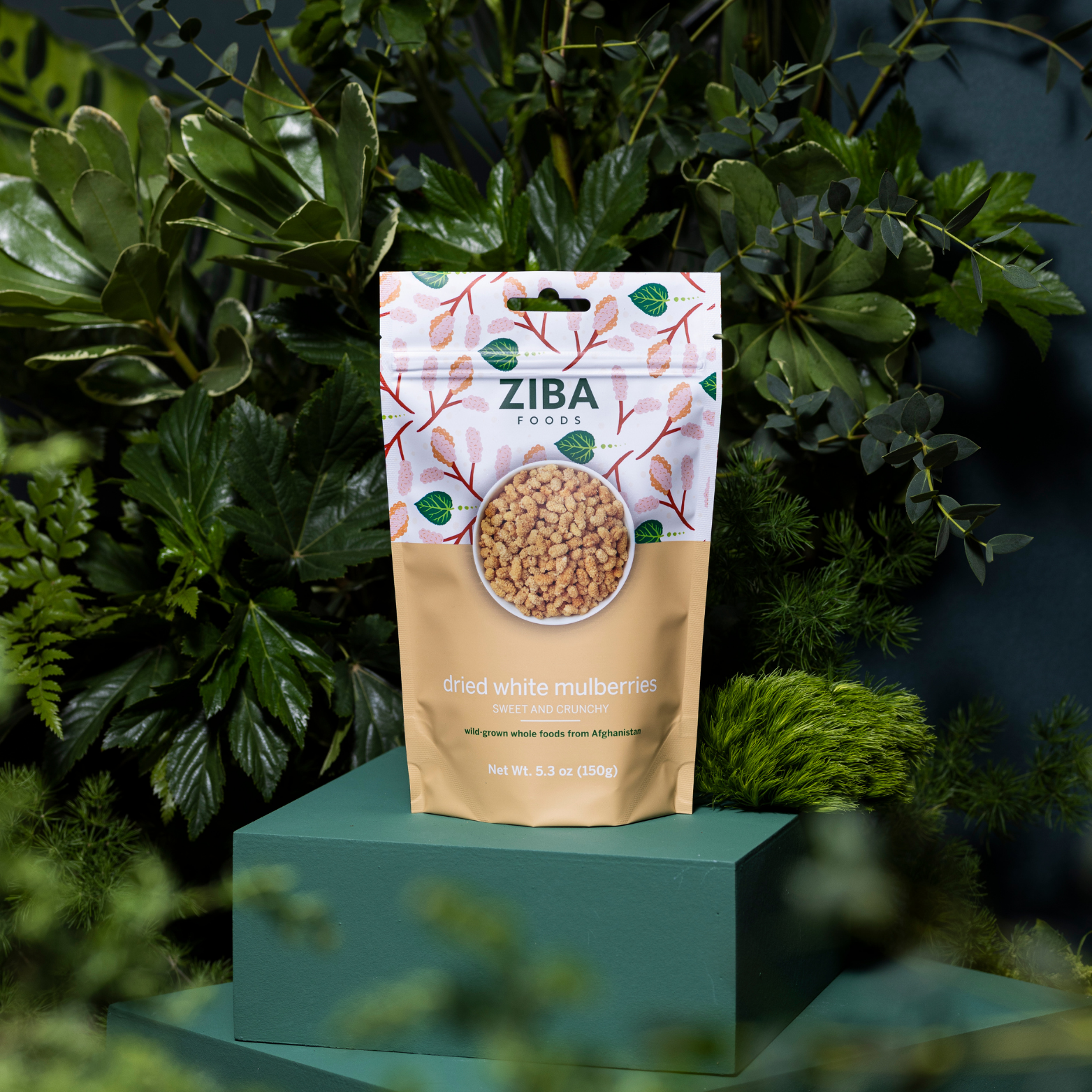 Ziba Foods - Wholesale Dried/Dehydrated Fruit - Ziba Dried White Mulberries, 40g7