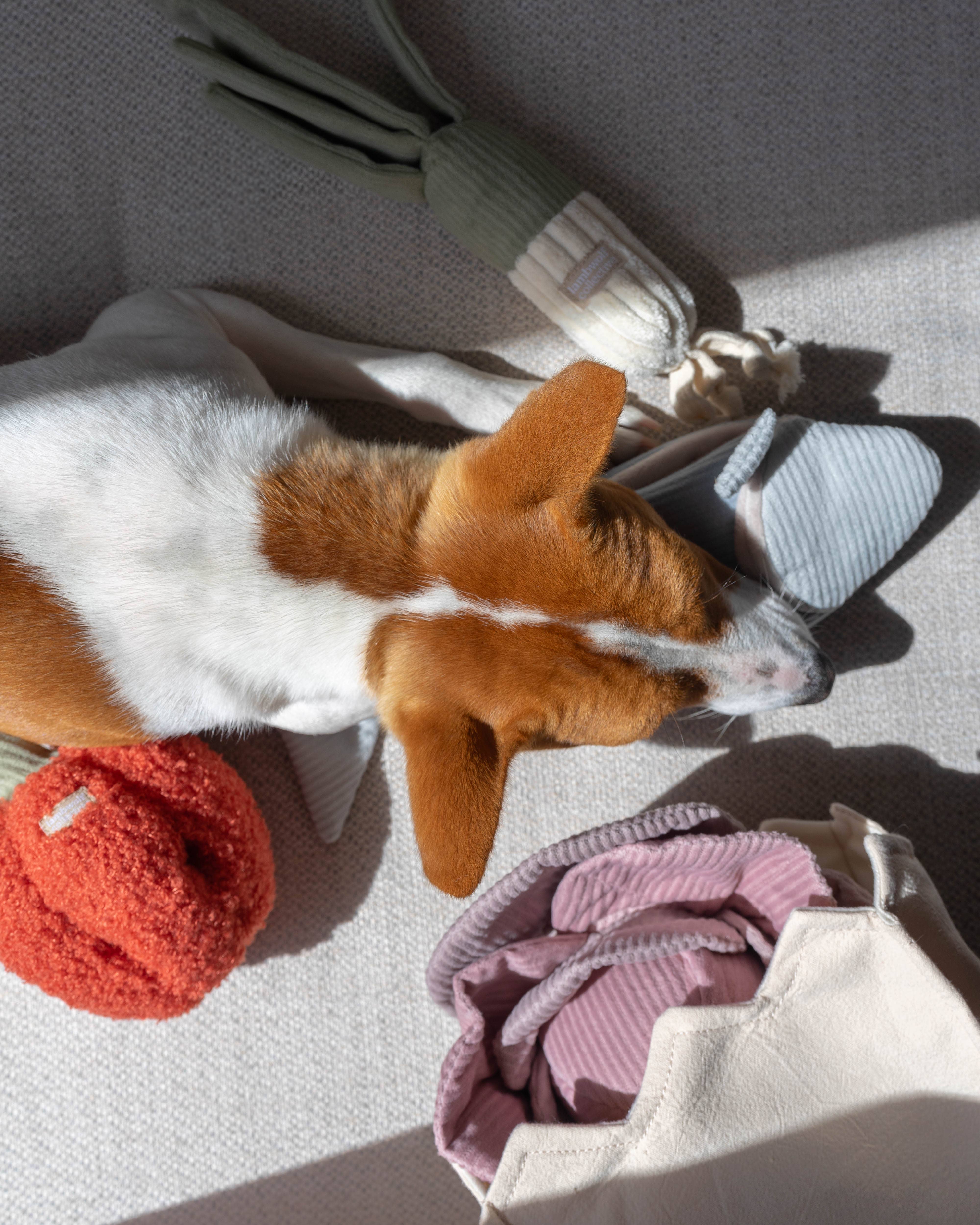 Lambwolf Collective - Vente Set de jouets – chien - Grand ensemble marché fermier // Ensemble de jouets d’enrichissement3