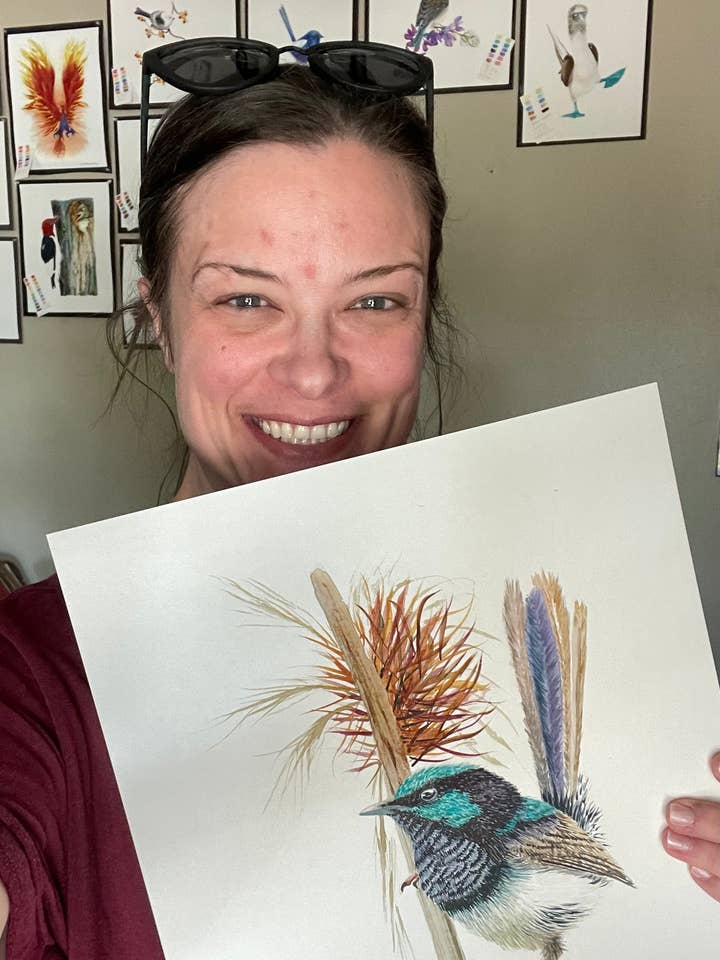 Superb Fairywren - Giclée-tryk for engroshandel hos Bird Art by KB