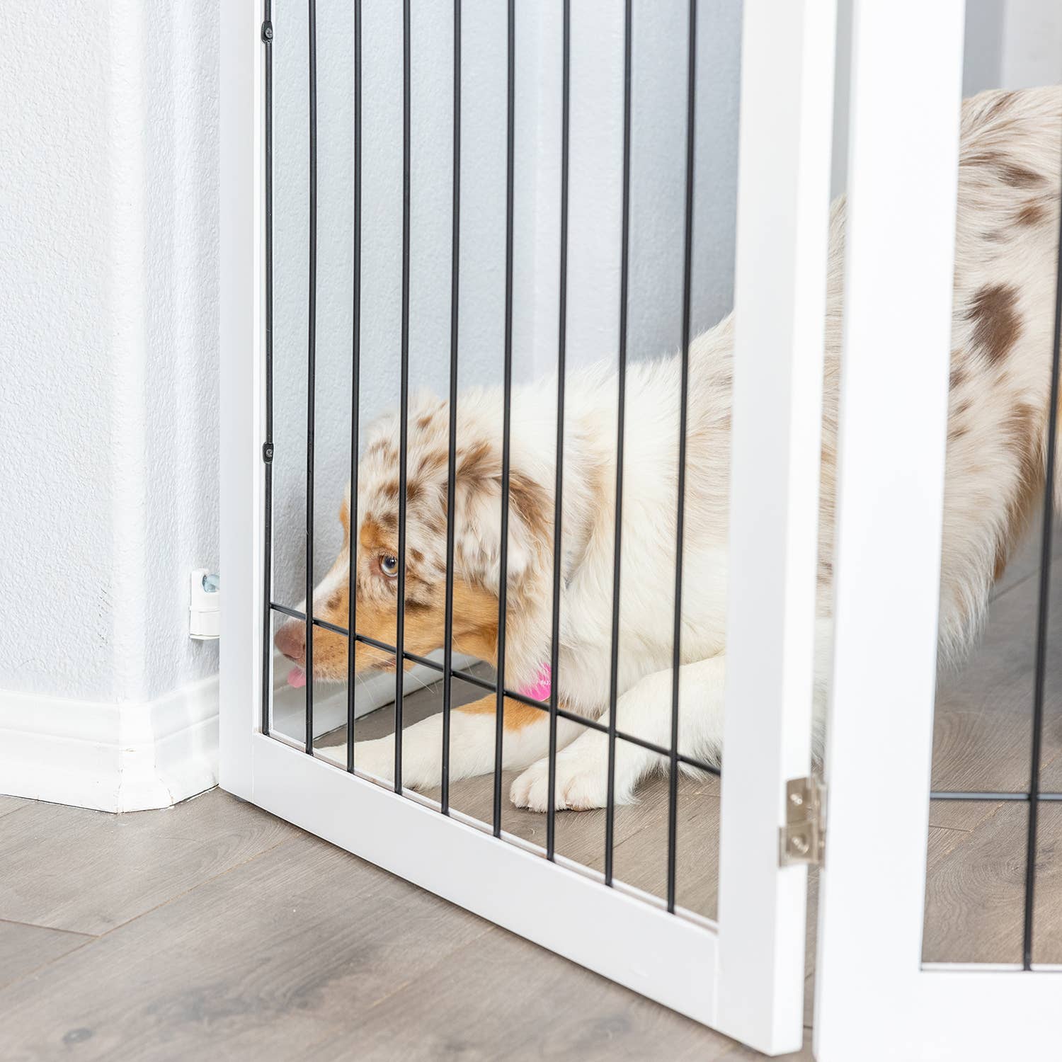 Primetime Petz - Vente Barrière portative pliable – chien - Kit de quincaillerie pour barrières murales autoportantes en bois pour animaux de compagnie5