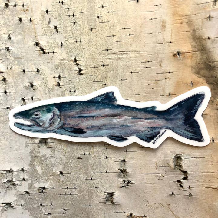Fish Sticker for wholesale by Art by Anya Toelle