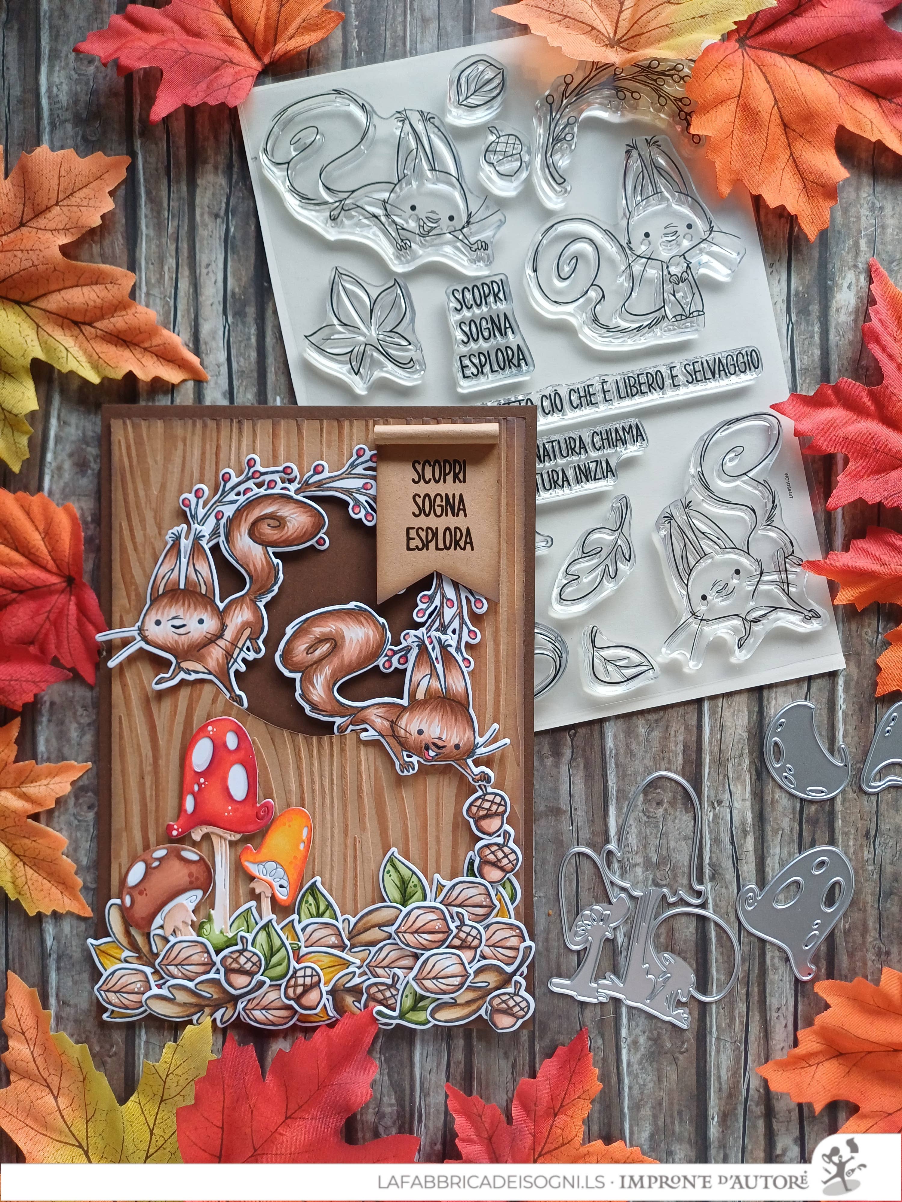 Impronte D'Autore - Wholesale Rubber/Decorative Stamp - Clear polymer stamps Nutty Explorers11