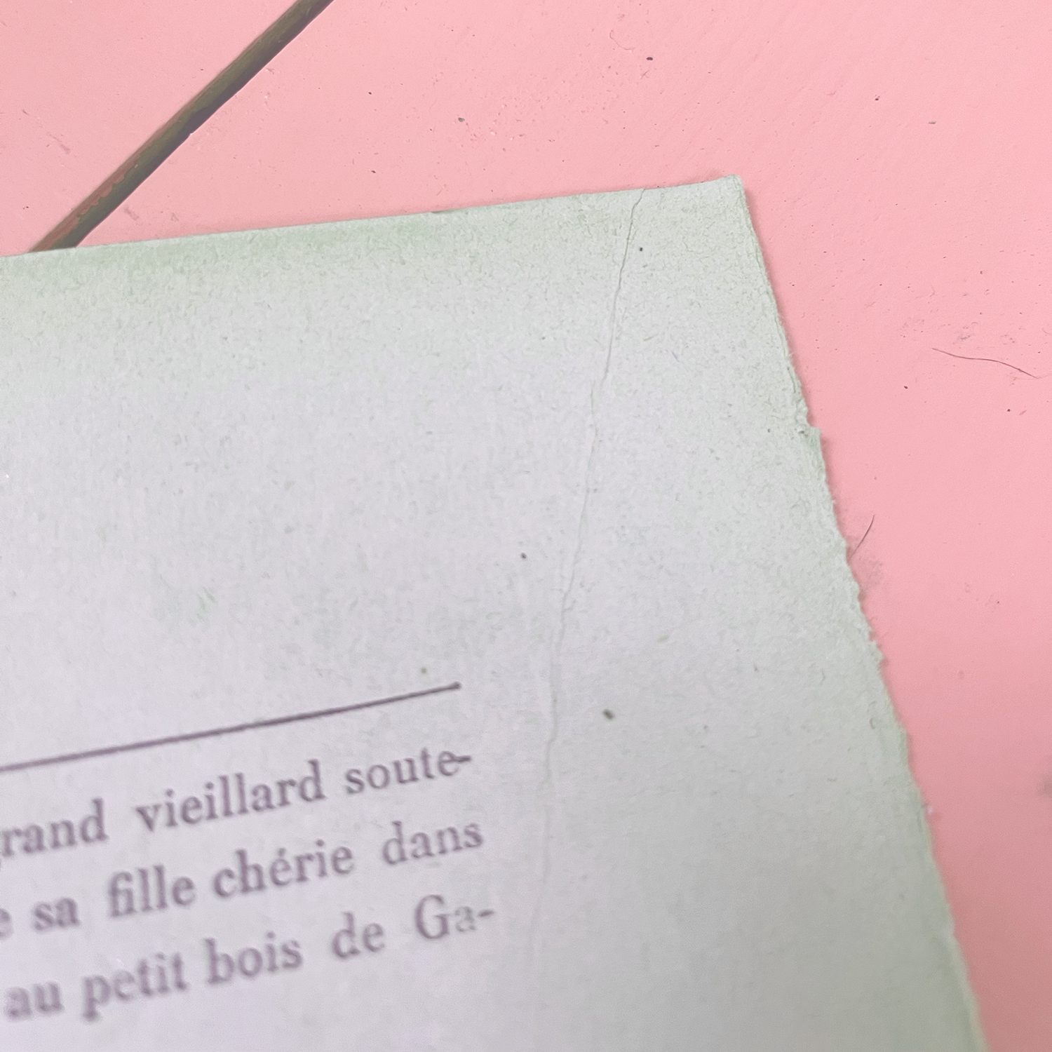 La Belette Rose - Wholesale Painting/Drawing - The Portraits — Petite Indienne2