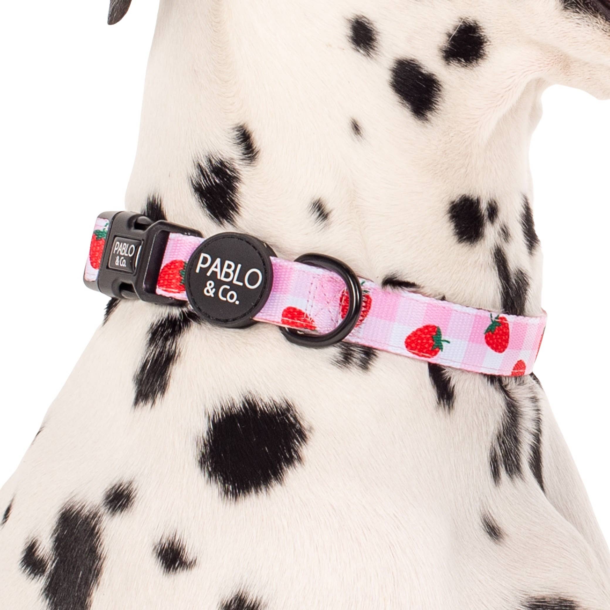 Pablo & Co. Boutique - Wholesale Pet Collar - Dog - Strawberry Fields: DOG COLLAR1