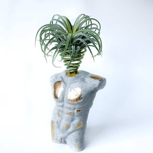 Planters Made in the USA - Wholesale Plant Pot - Unique Air Plant Holder | Male Torso | Man Body Sculpture2