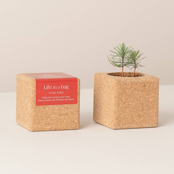 Life in a bag – Engroshandel Plantekrukke – Grow Cube Merry Christmas - Korkkubus med magnet til dyrkning af blomster og krydderurter0