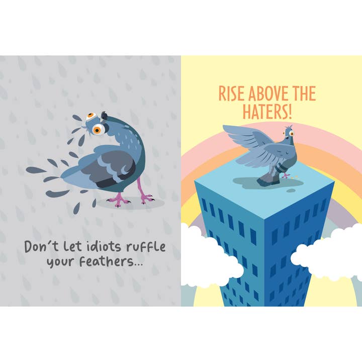 Boxer Gifts EU - Wholesale Mystery - Positivity Pigeon2