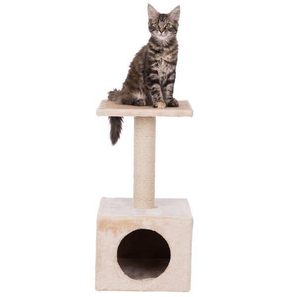 Trixie Junior Cat Tree Zamora Scratching Post Beige for wholesale by Trixie UK