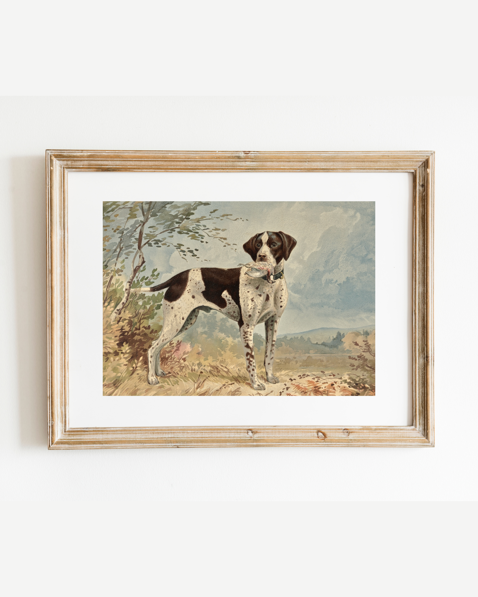 Sea to Skye - Wholesale Art Print - Standing English Pointer Antique Art Print2