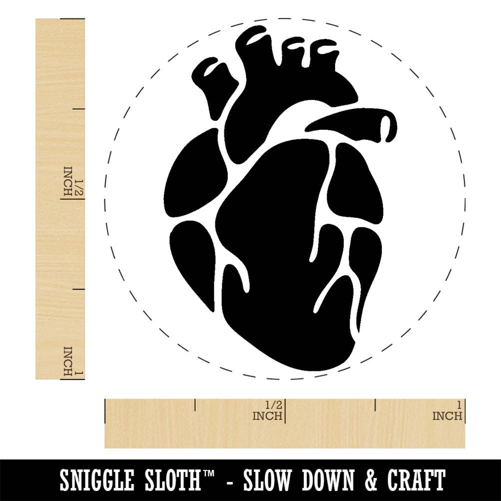 Sniggle Sloth - Wholesale Rubber/Decorative Stamp - Realistic Heart Four Chambers Anatomy Biology Love Science Rubber Stamp for Stamping Crafting Planners2