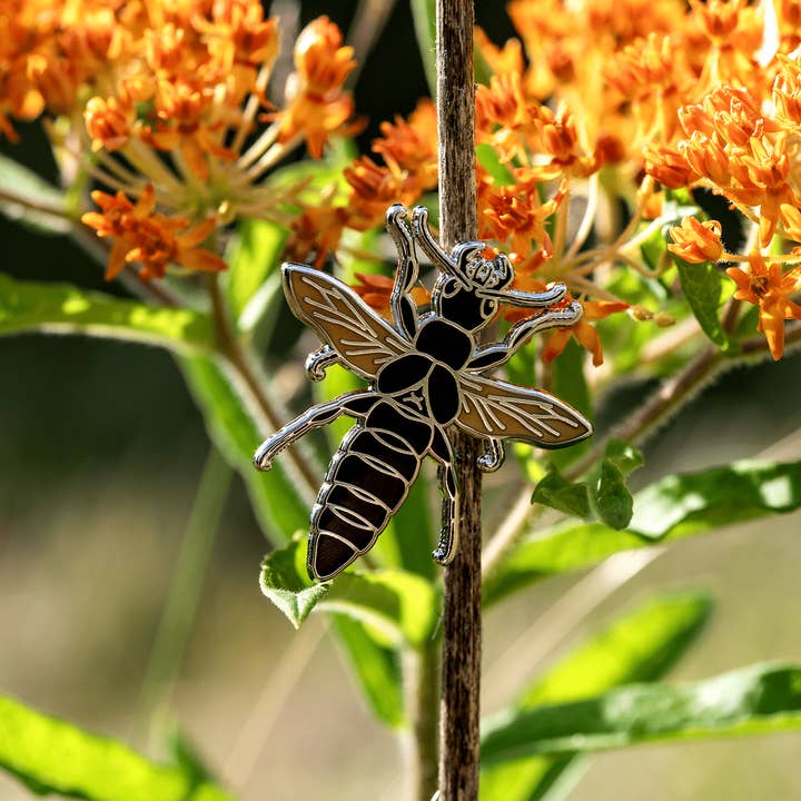 Pin de esmalte de escarabajo Opatrum sabulosum volador para venta al por mayor de The Roving House
