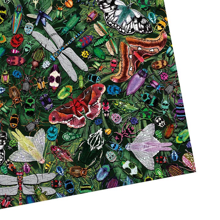 Gibsons Games Inc - Wholesale Puzzle - Adult - The Art File Winged Wonders 1000 Piece Jigsaw Puzzle4