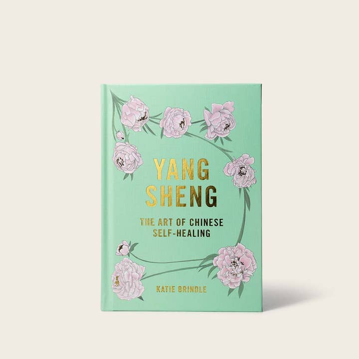 Yang Sheng: The Art of Chinese Self Healing Book for wholesale by Hayo'u Method