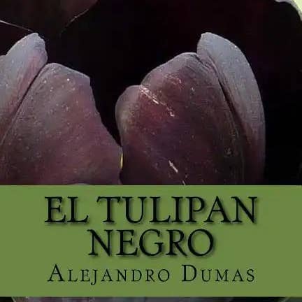 Books by splitShops - Wholesale Historical Fiction - El Tulipan Negro (Spanish) Edition - Paperback