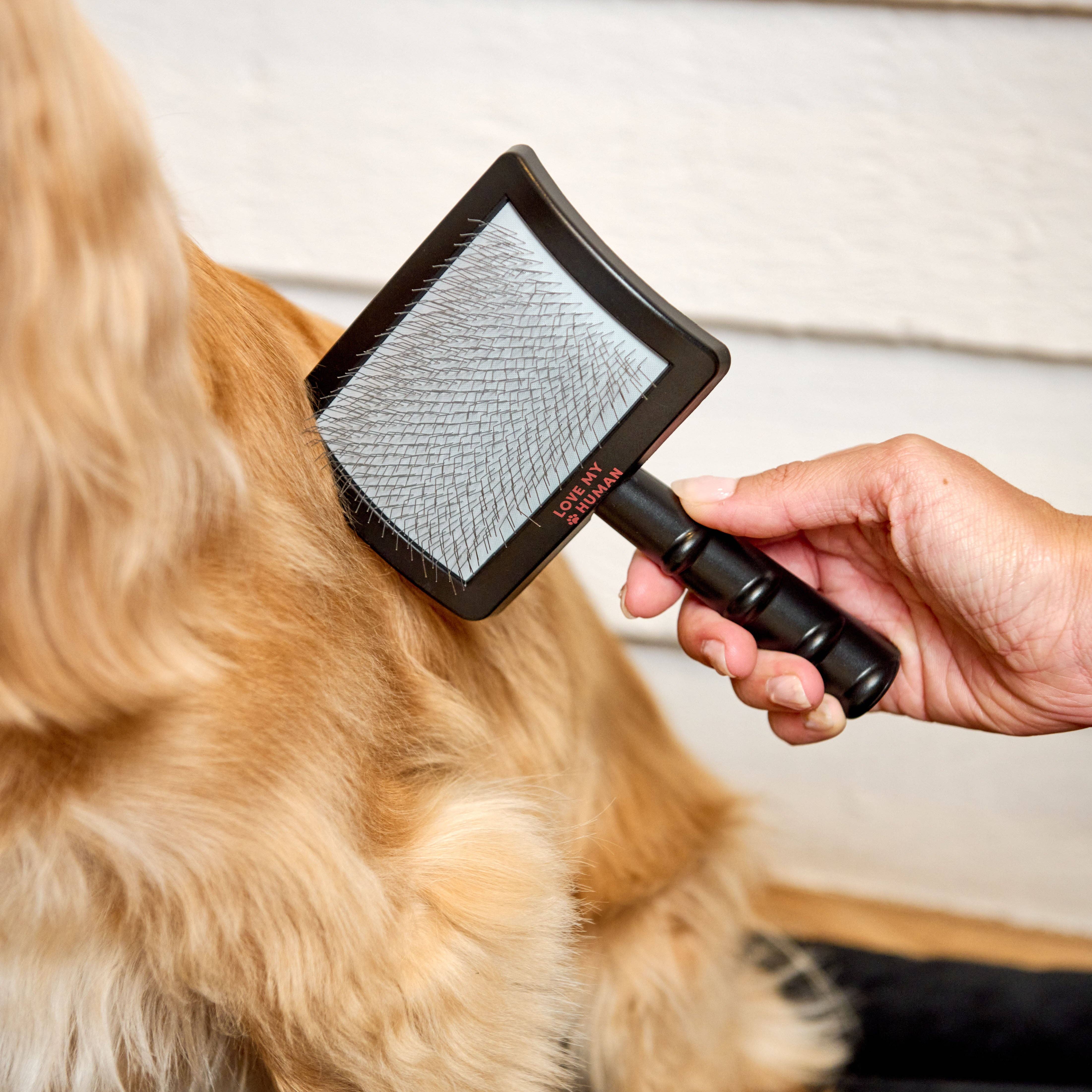 Love My Human - Wholesale Pet Brush - Cat/Dog - Universal Slicker Brush - Love My Human1