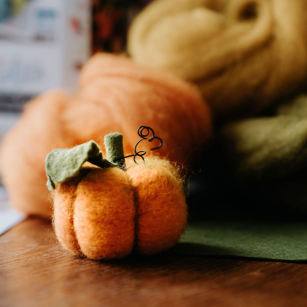 The Crafty Kit Company - Wholesale Craft Sewing Kit - Woolly Pumpkins Needle Felting Craft Kit6