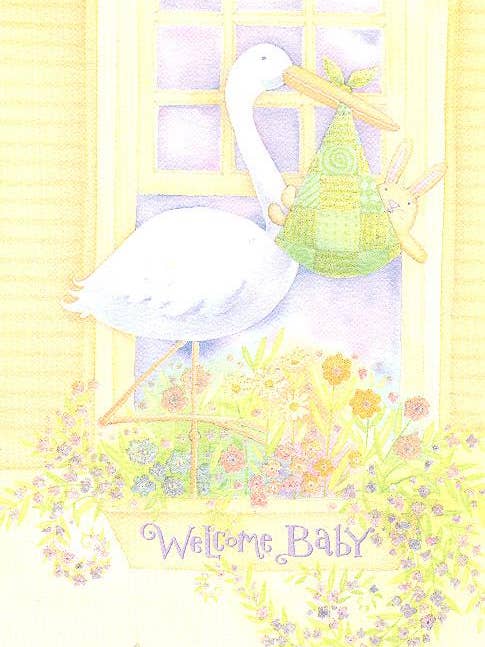 Baby General | DDTC | SM | 100-41267 for wholesale by DICKENS INC.