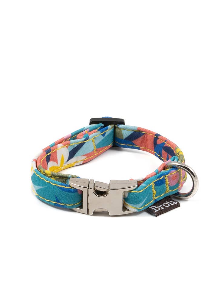 Ciutadella Textura Dog Collar for wholesale by Brottdog