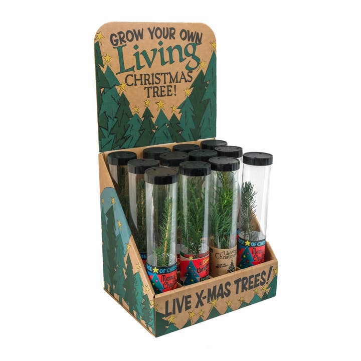 The Jonsteen Company - Wholesale Retailer Display - Home & Living - Christmas Tree Collection | 12 Live Trees w/ Display1