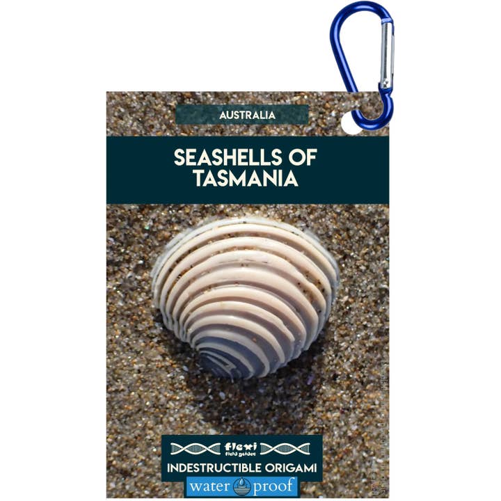 Conchiglie della Tasmania-Indistruttibile Origami per la vendita all'ingrosso da parte di Flexi Field Guides