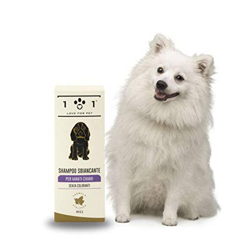 Linea 101 SRL - Wholesale Pet shampoo – Dog - Whitening Shampoo For Clear Coats Ml 2501