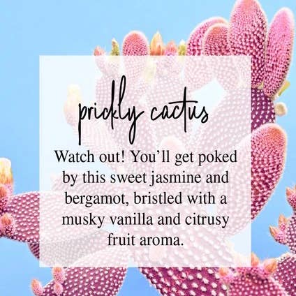 Timber Oak Candles - Wholesale Jar/Filled Candle - 8oz | 100% Pure Soy Mason Jar Candles | 40+ Scents14