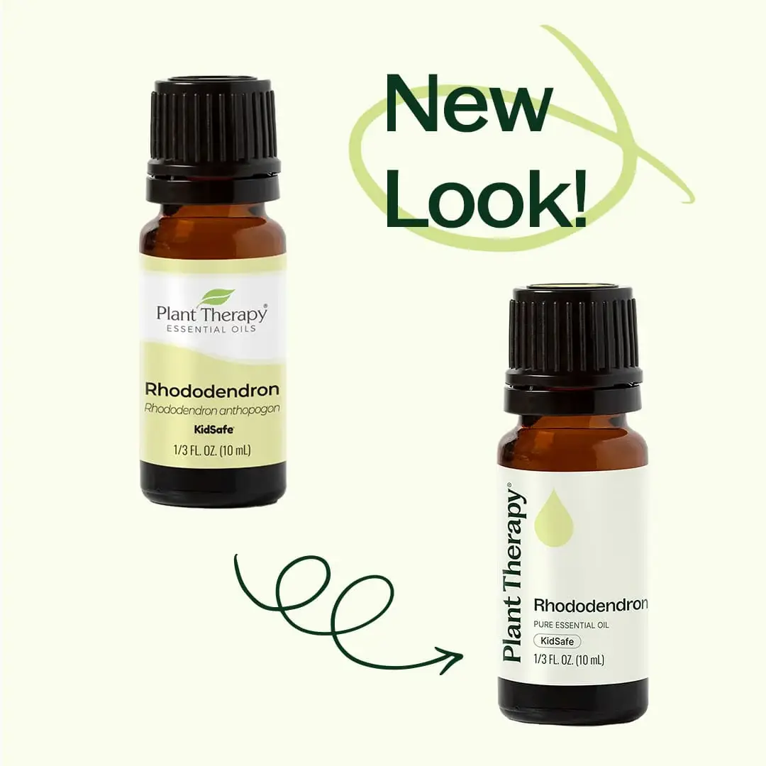 Plant Therapy - Wholesale Essential Oil - Rhododendron Essential Oil 10 ml3