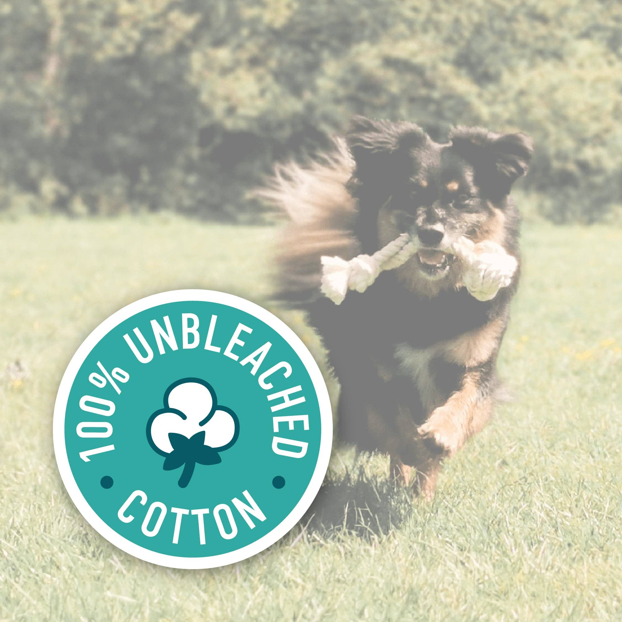 Goodchap's - Vendita all'ingrosso Giocattolo di corda - Cani - Gioco per cani Eco Fetch con corda 100% cotone naturale6