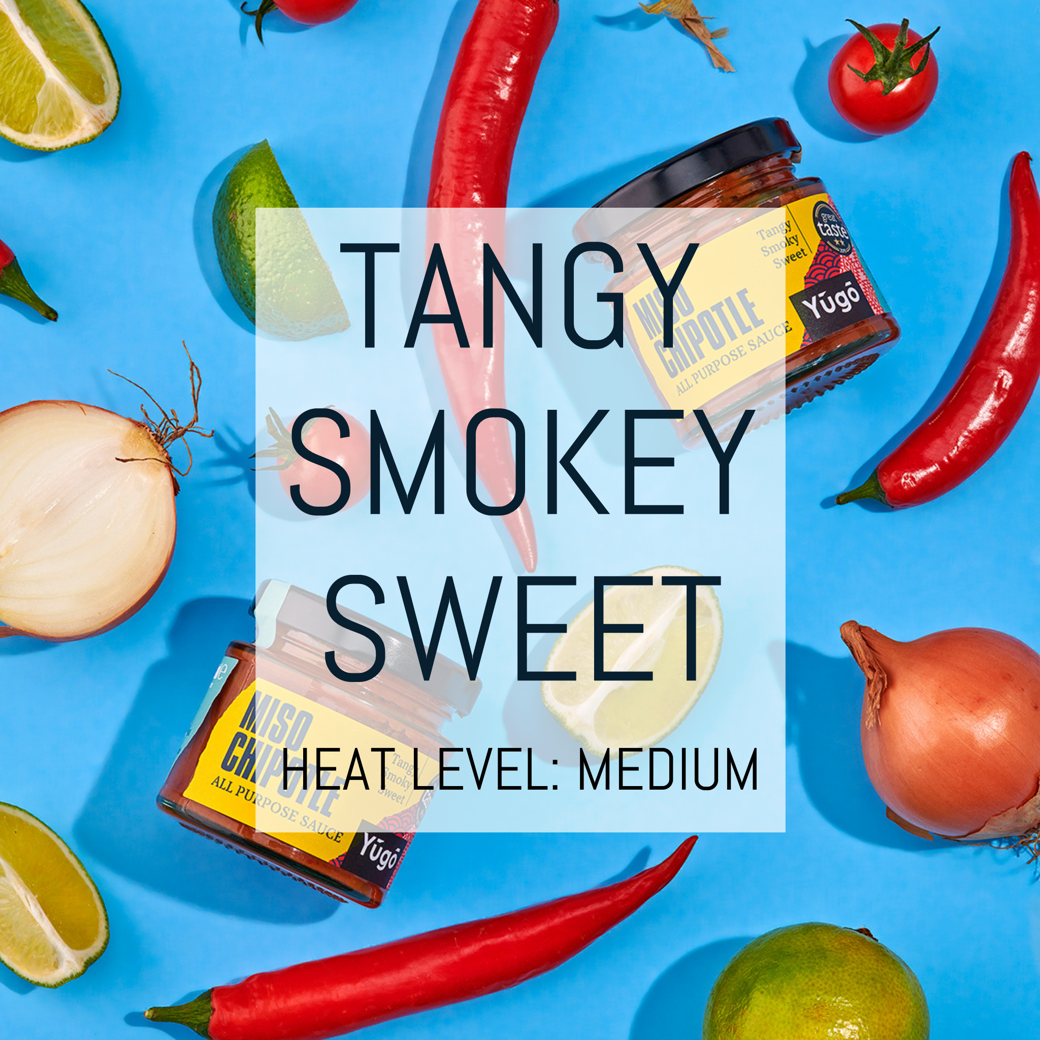 Yugo Spice – wholesale Sauce – Miso Chipotle Stir-In Paste | Pack of 6 (125ml x 6) | Yugo Spice Store2