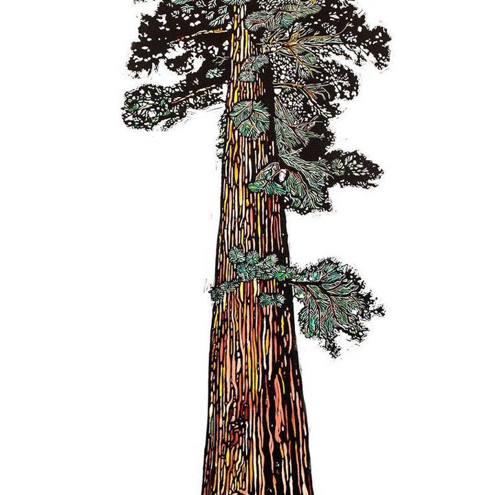 3 Fish Studios - Wholesale Art Print - Sequoia