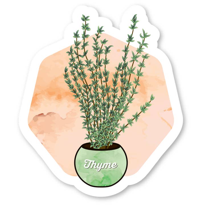 Coaster - Watercolor Thyme for wholesale by Morris Magnets