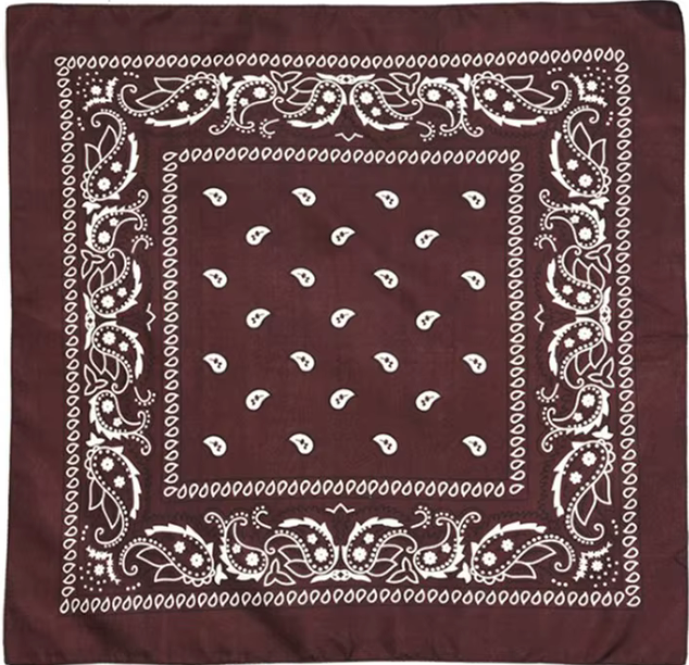 HoopLa - Wholesale Bandana - Women's - Bandana- 22" X 22"  100% Cotton Square Bandana Scarf2
