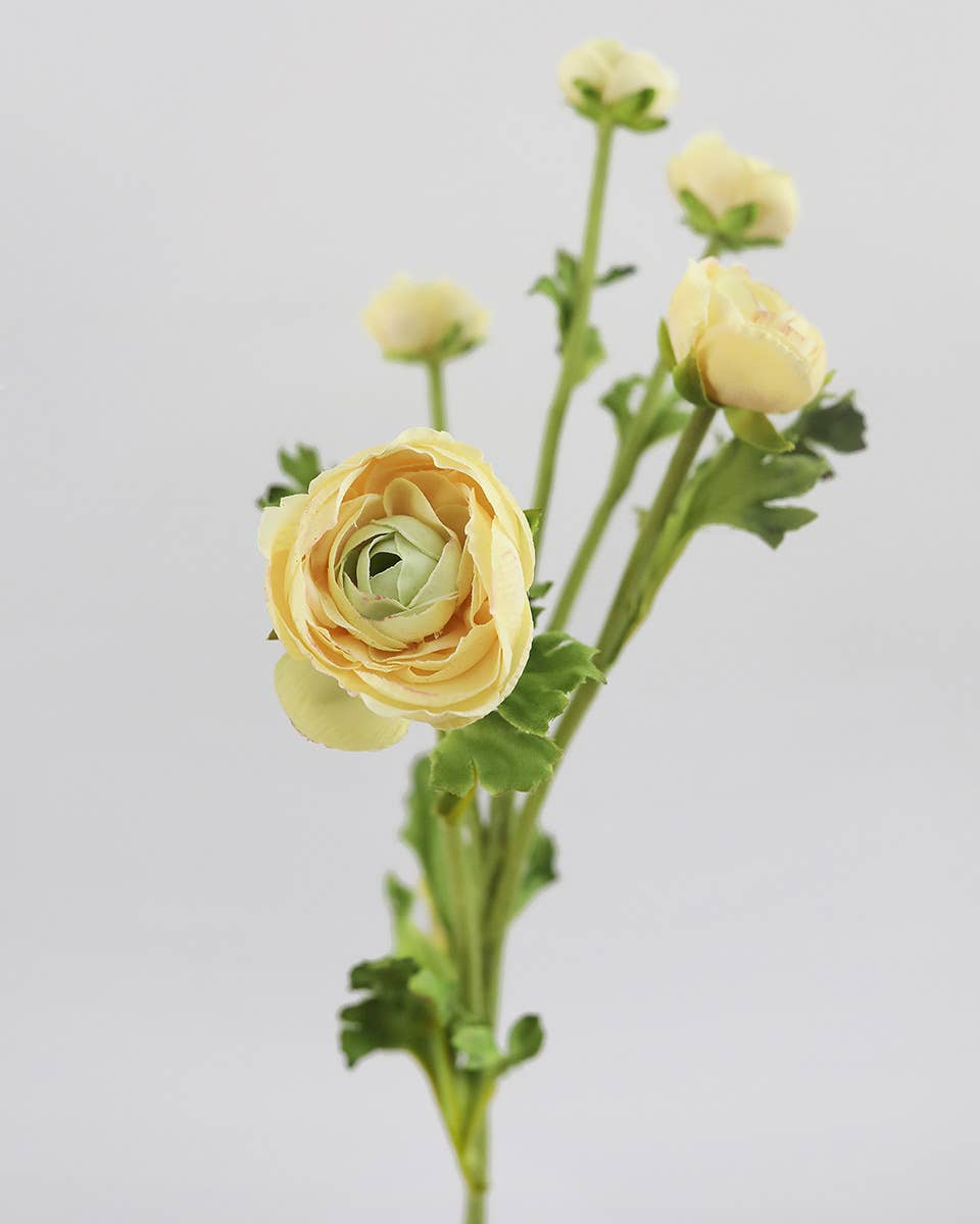 Prestige Botanicals - Wholesale Artificial Flowers - Real Touch Yellow Ranunculus 22”2