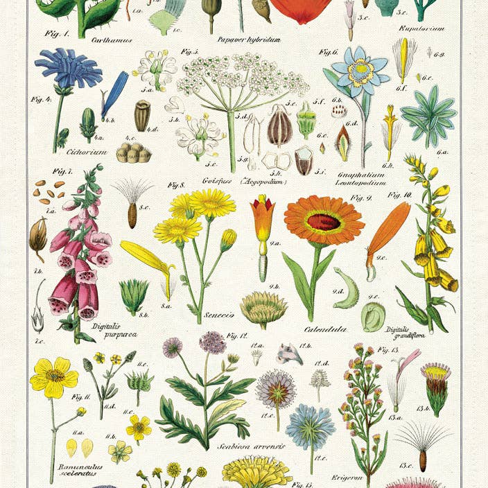 Cavallini Tea Towel - Wildflower for wholesale by Bobangles