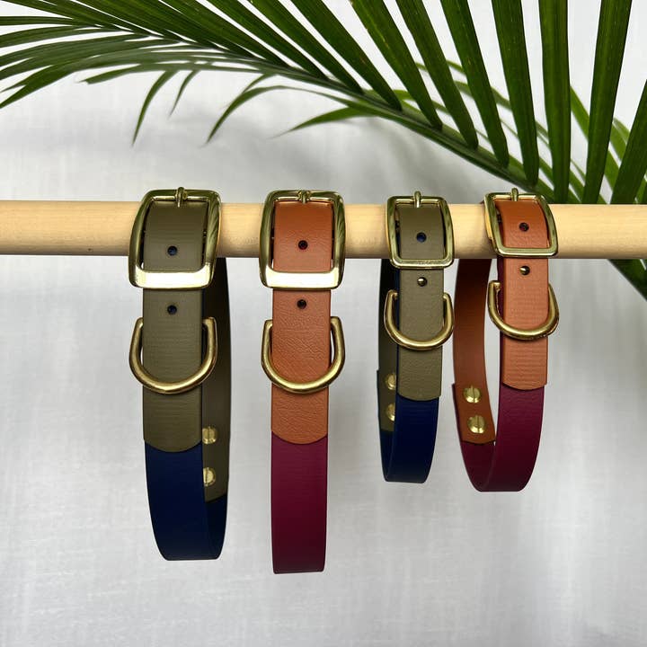 Moss Dog Collars – Großhandel Haustierhalsband – Hund – Die Neutral-Kollektion - Halsbänder