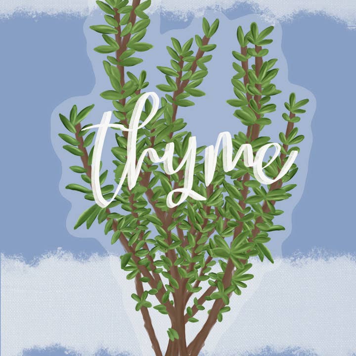 Kellio Studio - Venta al por mayor Pegatina - Pegatinas para plantas2