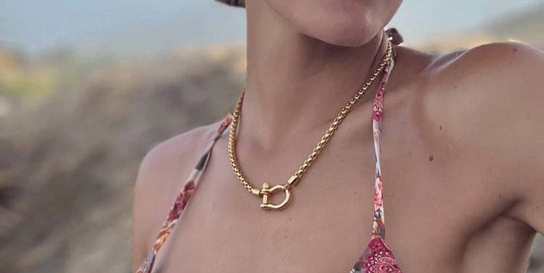 Will & Purpy – Colar pingente/pendente por atacado – Colar em caixa de aço inoxidável banhado a ouro em ferradura3