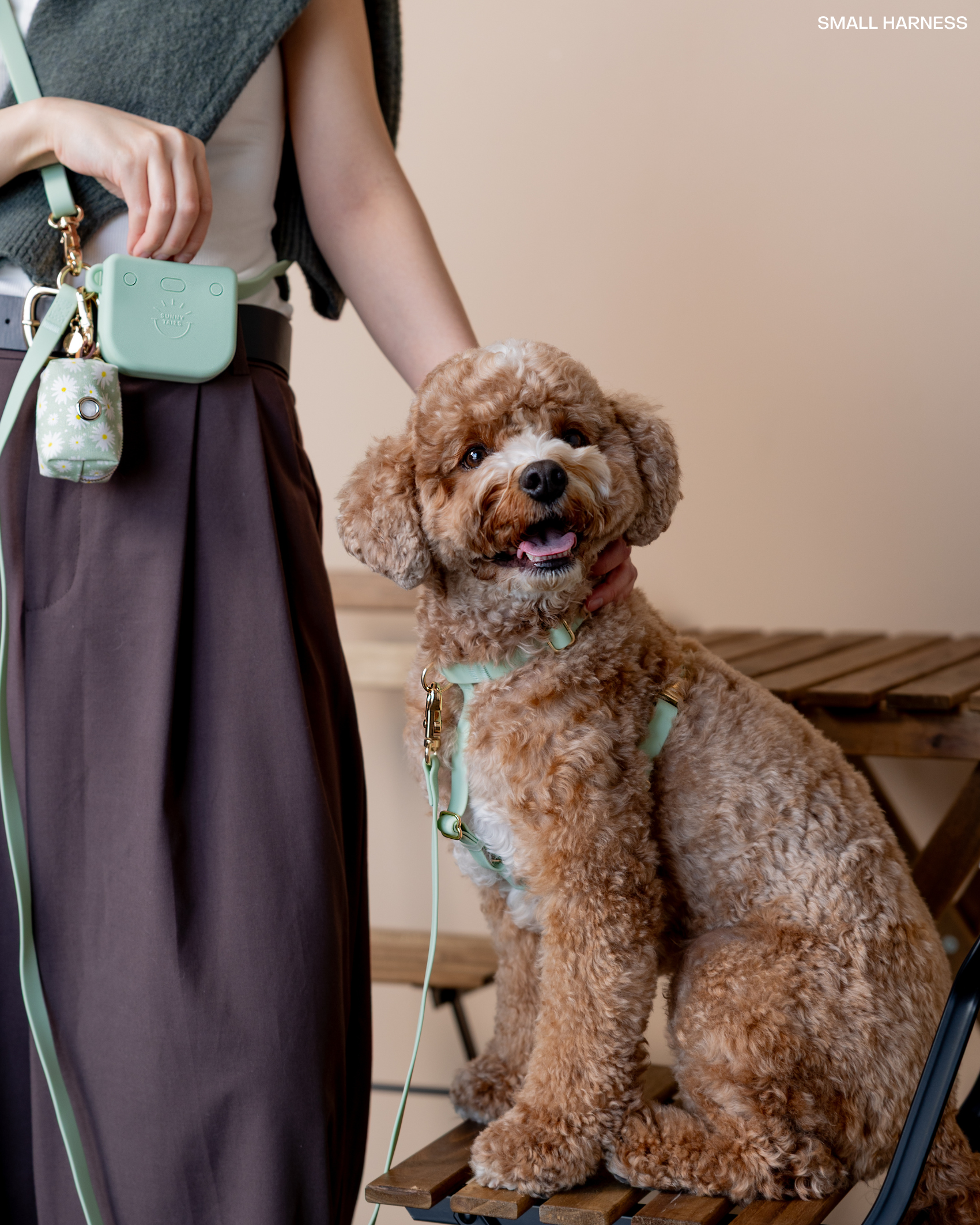 SUNNY TAILS - Wholesale Pet Leash - Dog - Pistachio Green 4-in-1 Convertible Hands Free Dog Leash6