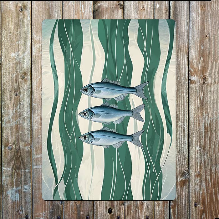 Three Silver Fish Sedweed Sea Nautical Metal Sign Plaque for wholesale by The British Metal Signs Company
