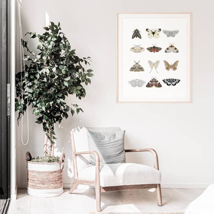 Moth Gallery afdrukken voor wholesale door chrpaperie