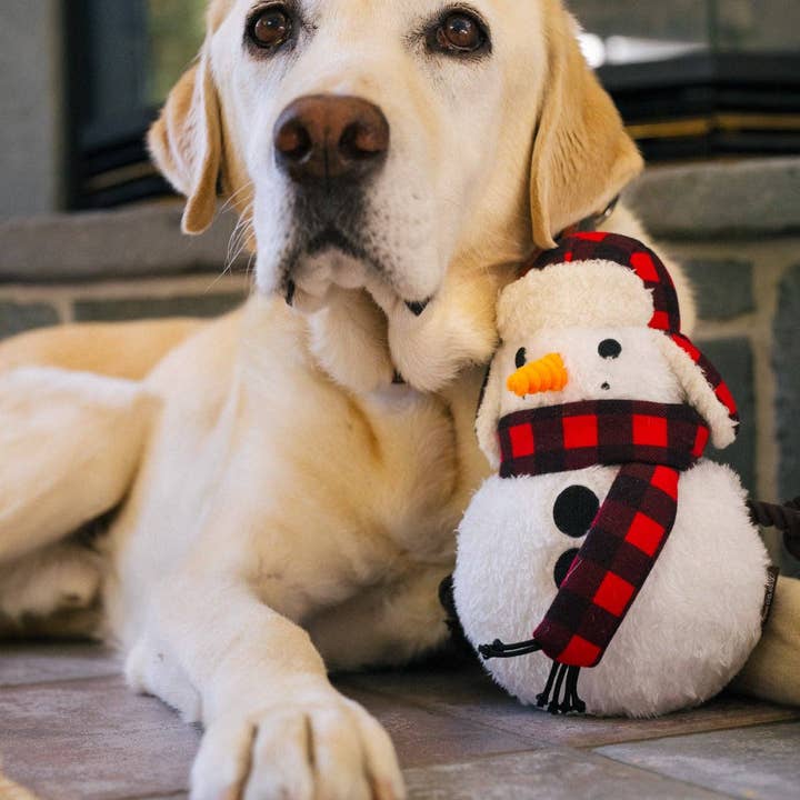 Only An Ocean Europe - Wholesale Pet Plush Toy - Dog - P.L.A.Y Home for the Holidays Blizzard Buddy4