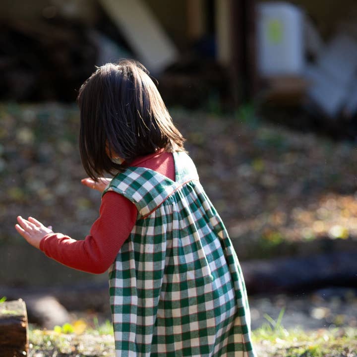 Fern Green Check Swing Dress for wholesale on Faire