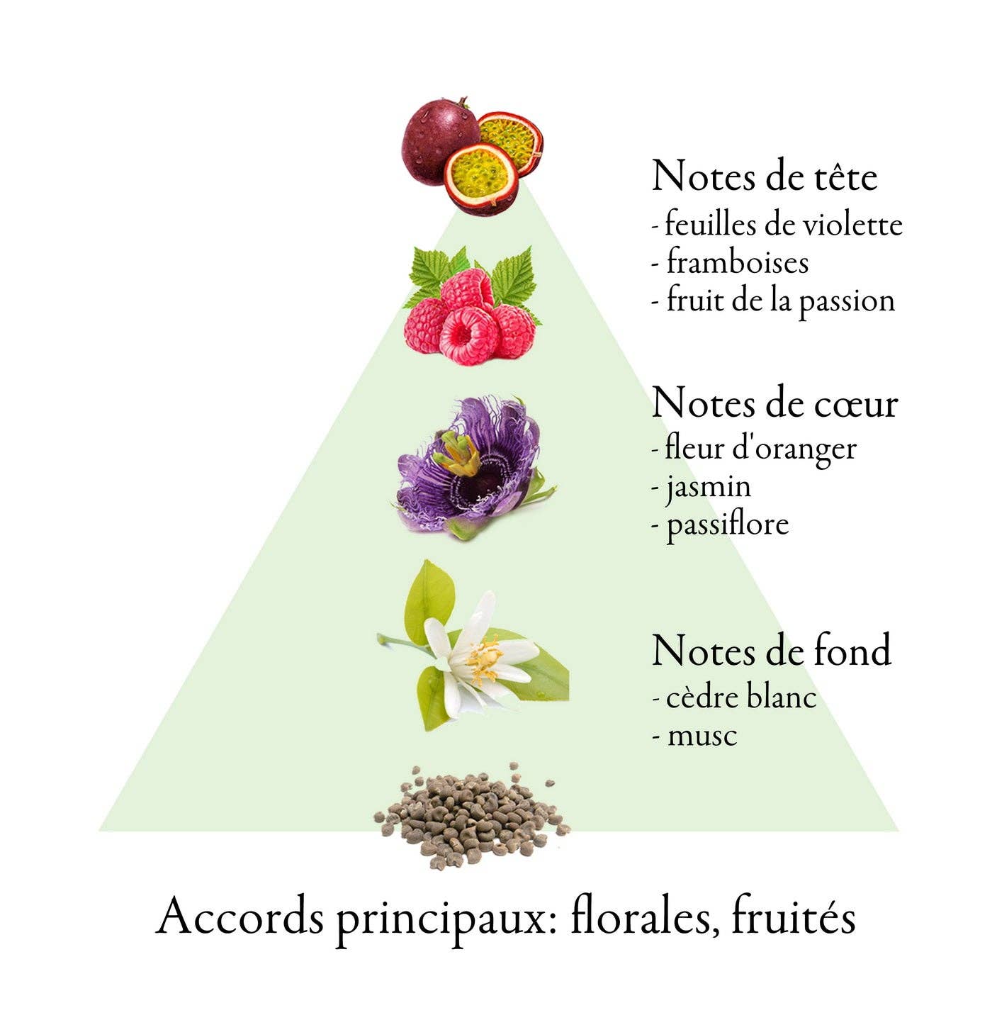 FAMILLE GRASSE PARFUMS - Wholesale Perfume/Eau de Toilette - FLEURS EXOTIQUES eau de parfum for women 50ml3