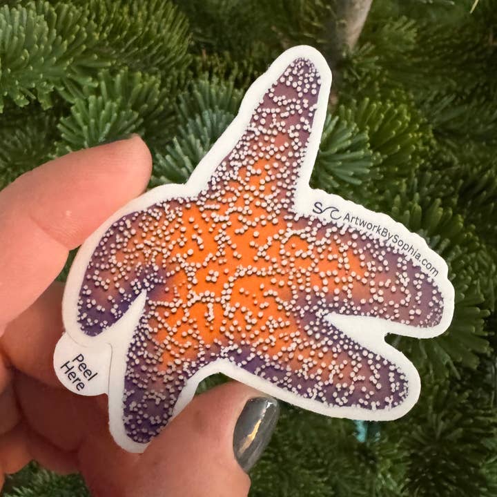 Artwork by Sophia - Wholesale Sticker - Starfish | Vinyl Sticker | Colored Drawing | 3in0
