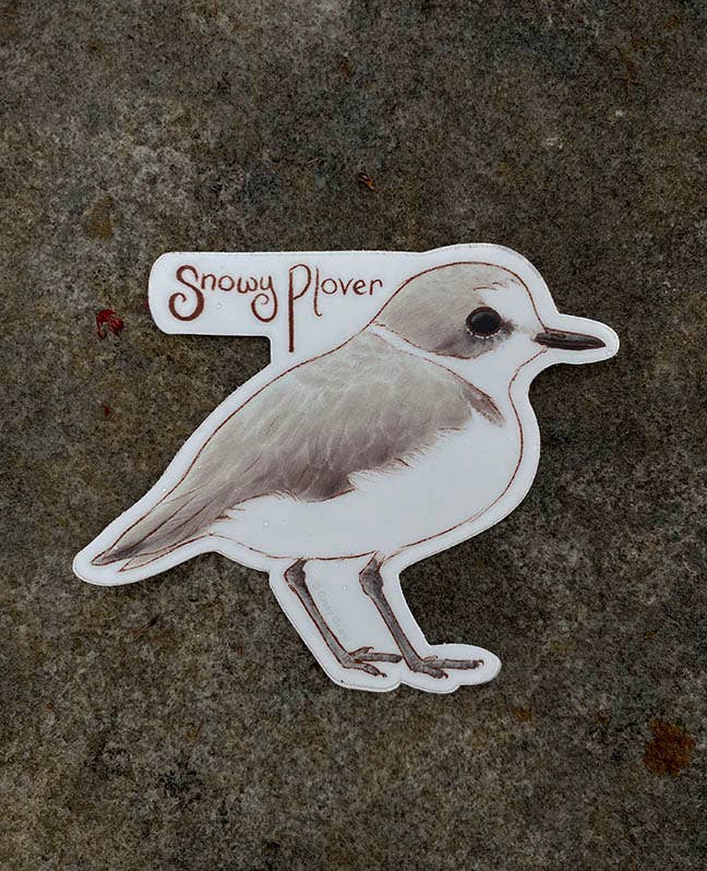 River Thrush Studio - Wholesale Sticker - Snowy Plover - Vinyl Sticker